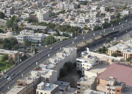 دارکوبی به نام قزوین بزرگ