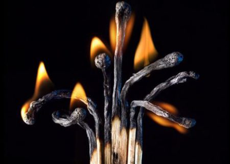 سیاست بیگانه