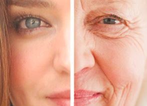 تولید داروی جدید ضد پیری