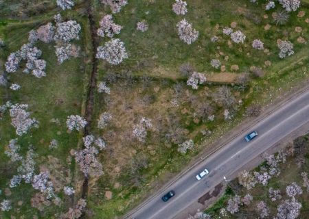 باغستان سنتی قزوین؛ چهره‌ای جهانی