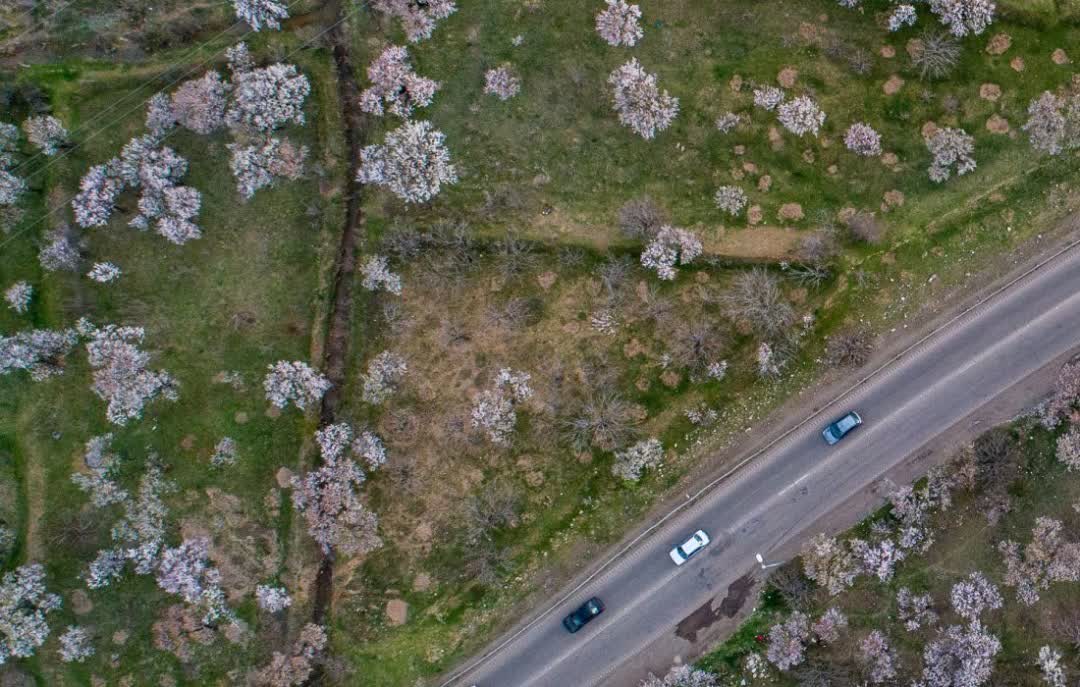 باغستان سنتی قزوین؛ چهرهای جهانی