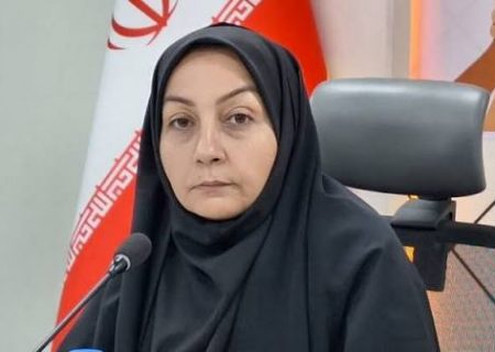 خانواده‌محوری جایگزین مرکزمحوری در بهزیستی قزوین می‌شود